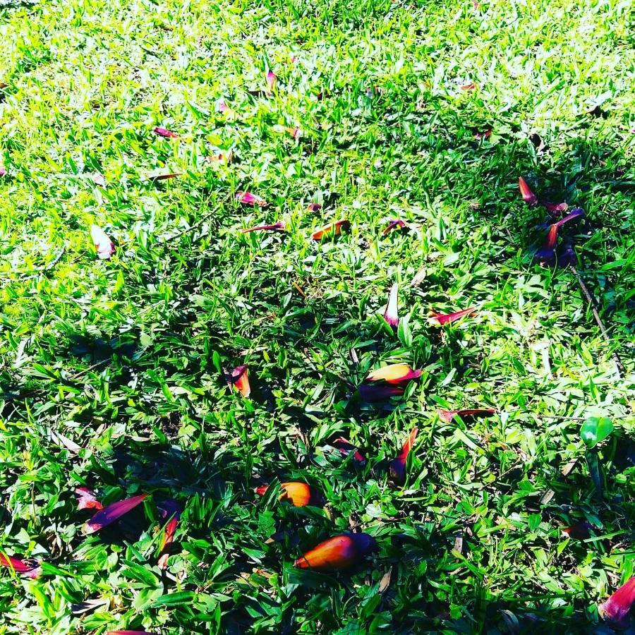 Pousada Serras De Monte Verde Monte Verde  Ngoại thất bức ảnh